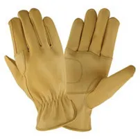 Driving Gloves reference product SB13-3502